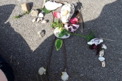 20210308_115047-Copier