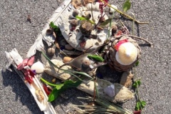 20210308_115114-Copier