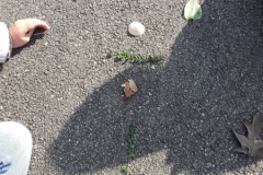 20210308_115149-Copier