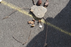 20210308_115215-Copier