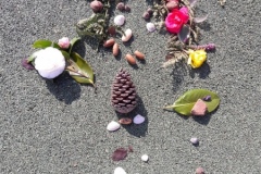 20210308_115320-Copier