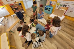 20260428_114614-Copy