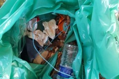 20220705_114108-Copier