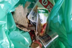 20220705_114115-Copier