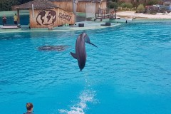 planete-sauvage-34-Copier