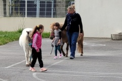 20230511_105848-Copy