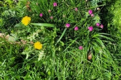 20230327_122438-Copy