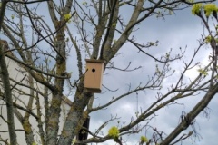 20230327_155849-Copy