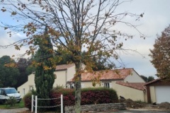 20251014_094408-Copy