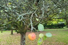 20251014_094735-Copy