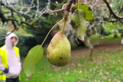 20251014_095101-Copy