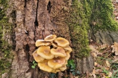 20251014_095714-Copy