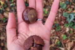 20251014_100010-Copy