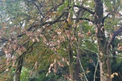 20251014_100047-Copy