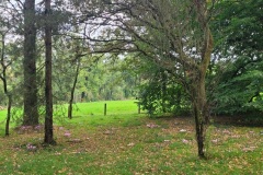 20251014_100647-Copy