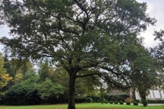 20251014_100814-Copy