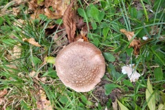 20251014_101100-Copy