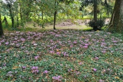 20251014_101215-Copy