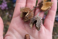 20251014_101646-Copy