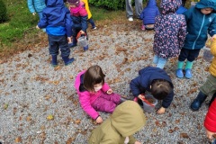 20251014_101950-Copy