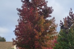 20251014_103547-Copy