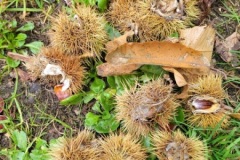 20251014_104119-Copy