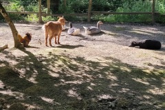 20240613_093944-Copy
