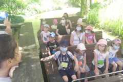 IMG-20210602-WA0001