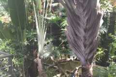 IMG-20210602-WA0003