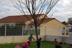 automne-12