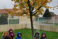 automne-3