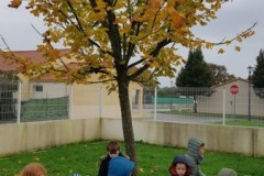 automne-4