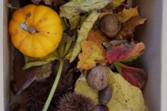 automne-9