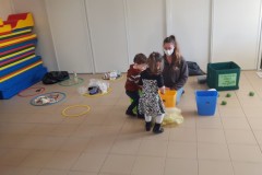 cicadelle-21-Copier
